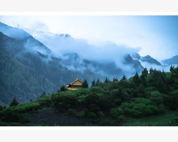 什么水能止咳化痰？深度探讨中医养生之道，带你走近自然疗法