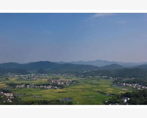 吃饭后胃疼痛怎样调理